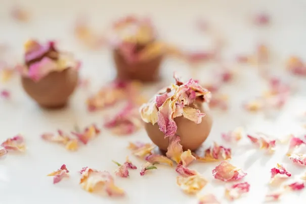 Casino Chilli Spins Aplicación Android/iOS